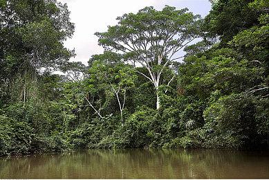 愚人节：《妮姬：胜利女神》宣布续作《DEAD SPICY》